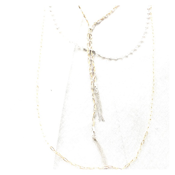 Free People Silver/Gold Tasseled Layered Necklace - Picture 5 of 8